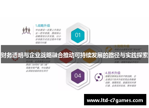 财务透明与企业战略融合推动可持续发展的路径与实践探索