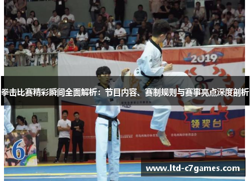 拳击比赛精彩瞬间全面解析：节目内容、赛制规则与赛事亮点深度剖析