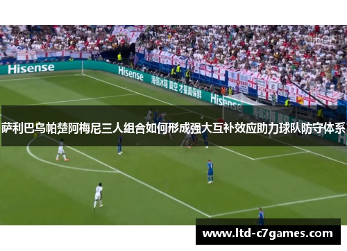 萨利巴乌帕楚阿梅尼三人组合如何形成强大互补效应助力球队防守体系