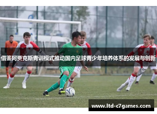 借鉴阿贾克斯青训模式推动国内足球青少年培养体系的发展与创新