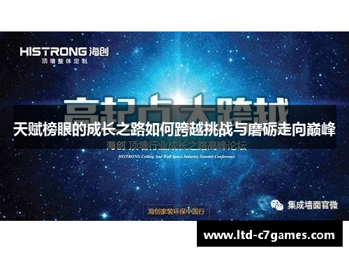 天赋榜眼的成长之路如何跨越挑战与磨砺走向巅峰