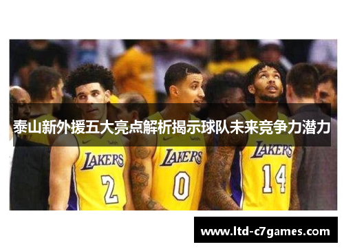 泰山新外援五大亮点解析揭示球队未来竞争力潜力