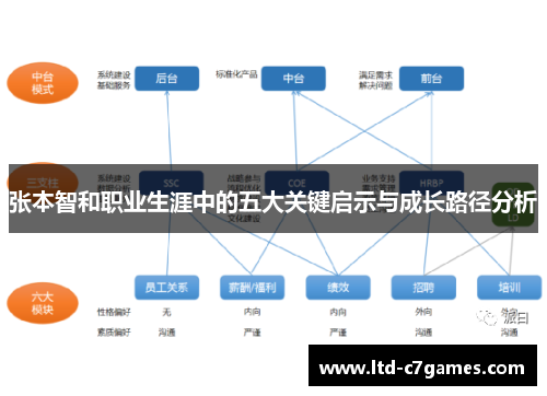 张本智和职业生涯中的五大关键启示与成长路径分析
