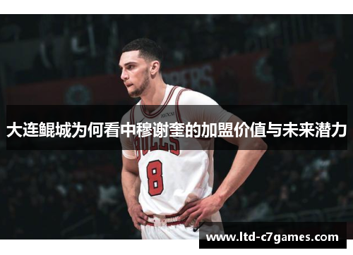 大连鲲城为何看中穆谢奎的加盟价值与未来潜力