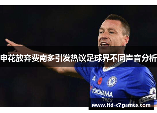 申花放弃费南多引发热议足球界不同声音分析