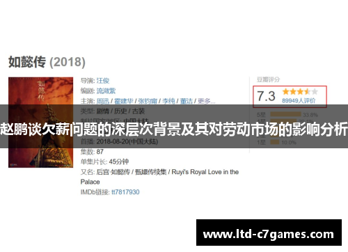 赵鹏谈欠薪问题的深层次背景及其对劳动市场的影响分析