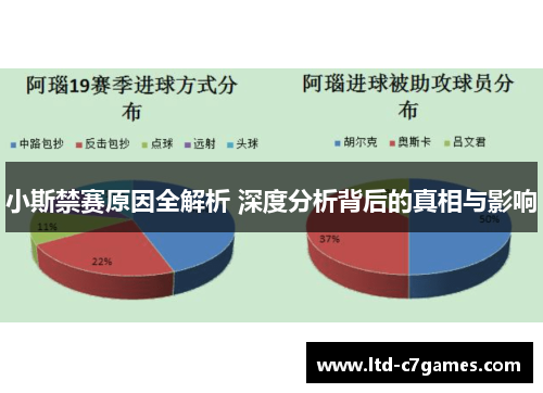 小斯禁赛原因全解析 深度分析背后的真相与影响