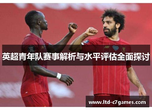 英超青年队赛事解析与水平评估全面探讨