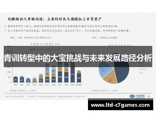 青训转型中的大宝挑战与未来发展路径分析